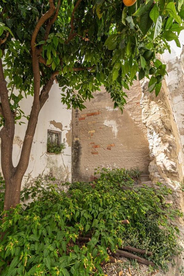 La Casa De Los Arcos - Casco Historico - Parking Opcional Jerez de la Frontera Bagian luar foto